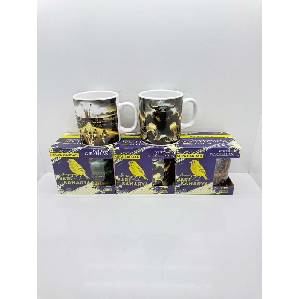 ECHTES - TARAFTAR KUPA KUTULU KANARYA