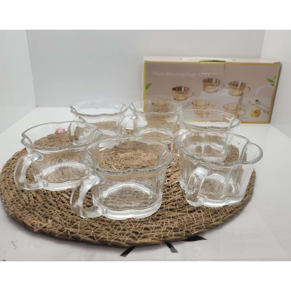 Y2033-6 KULPLU CAM KUPA 6'LI