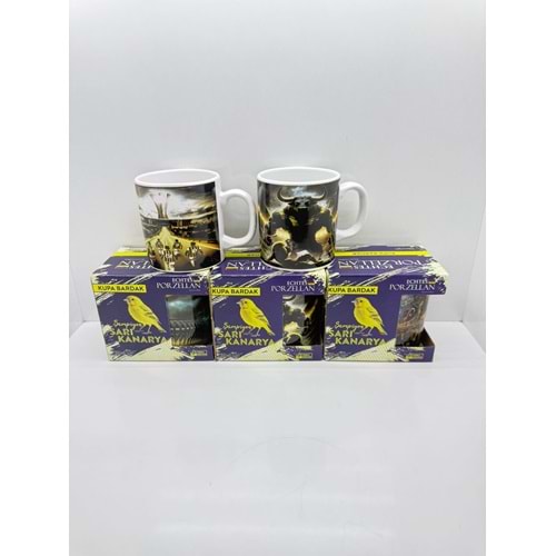 ECHTES - TARAFTAR KUPA KUTULU KANARYA