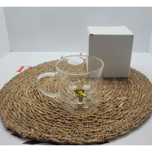 HXBLB-207 KULPSUZ CAM BARDAK